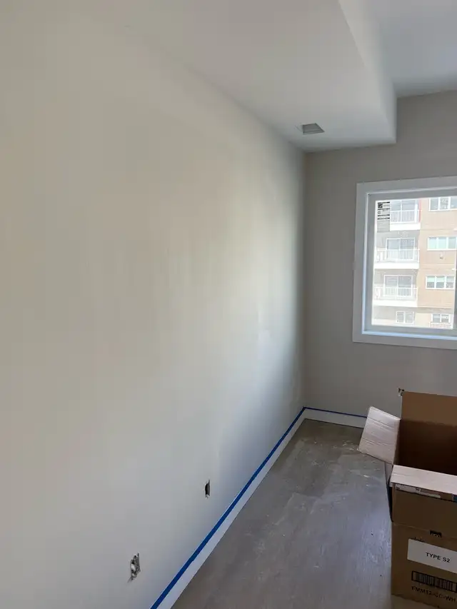 Professional Painter