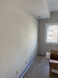 Professional Painter