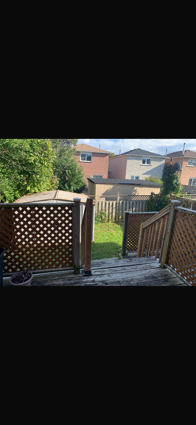 Private room shared wash room available May 1 - Photo 10