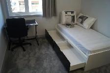 Female U of S Student Luxury Room for Rent $635 - Photo 7