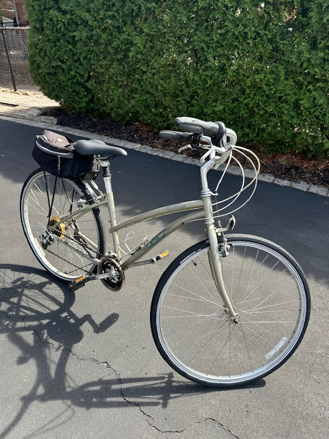 Women's 21 speed Roadbike - tuned up