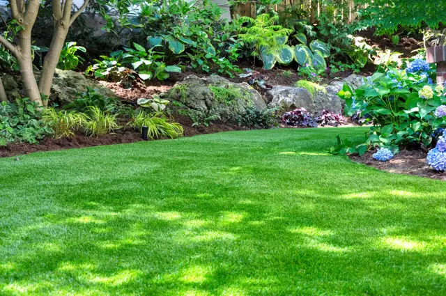 Looking For Lawns to cut