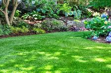 Looking For Lawns to cut