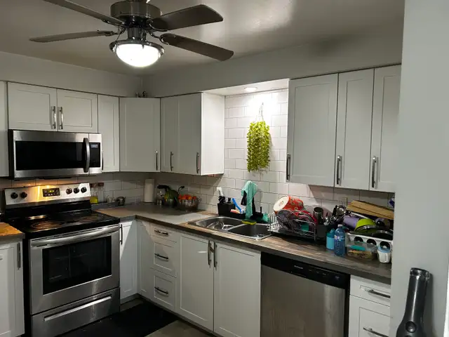 2BHK Apartment for Rent - Photo 5