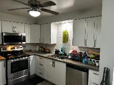 2BHK Apartment for Rent - Photo 5