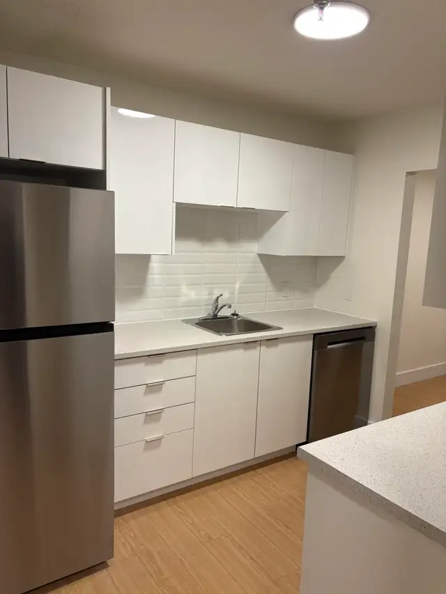 LOCATION! RENOVATED 2BR IN CLAYTON PARK - Photo 2