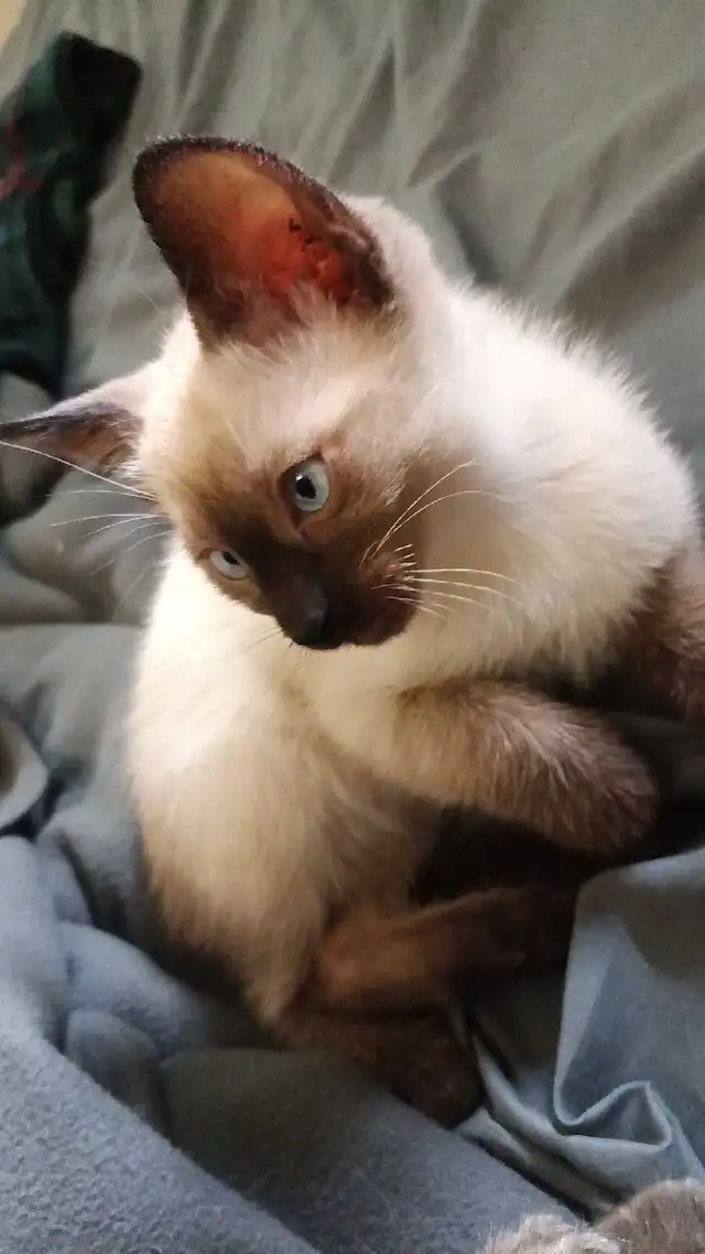 PRICE DROPPED NEED GONE ASAP - Photo 2