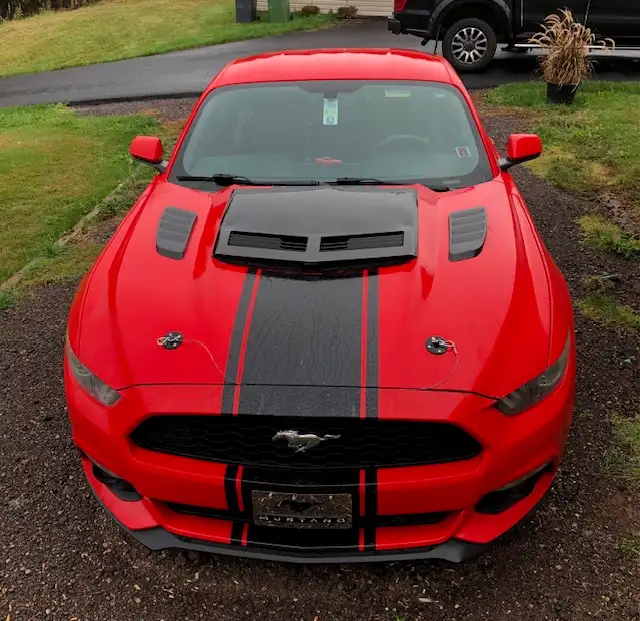 2015 Ford Mustang - Photo 2