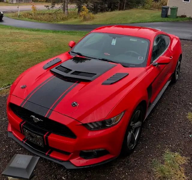 2015 Ford Mustang - Photo 3