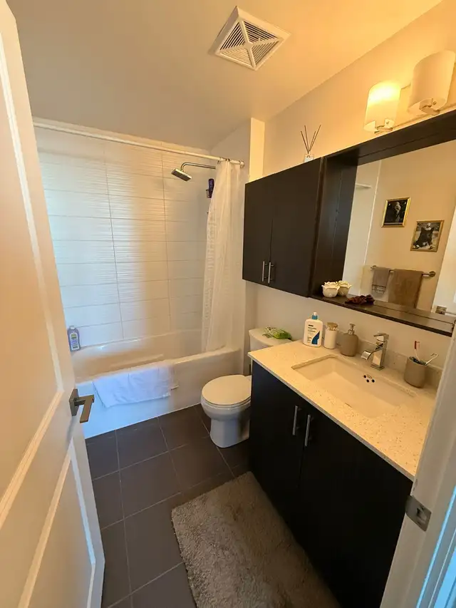 Luxury 1  1 Bedroom Condo for rent! - Photo 3