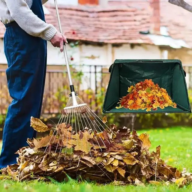 Service de ramassage de feuilles pour maisons - Photo 2