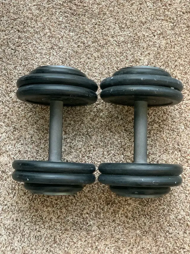 40 lbs. Dumbbells weights