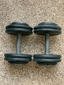 40 lbs. Dumbbells weights
