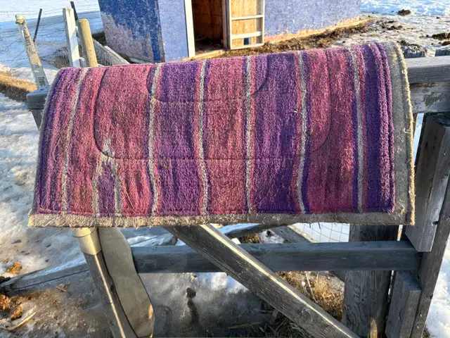 ISO  looking for cheap horse tack - Photo 3