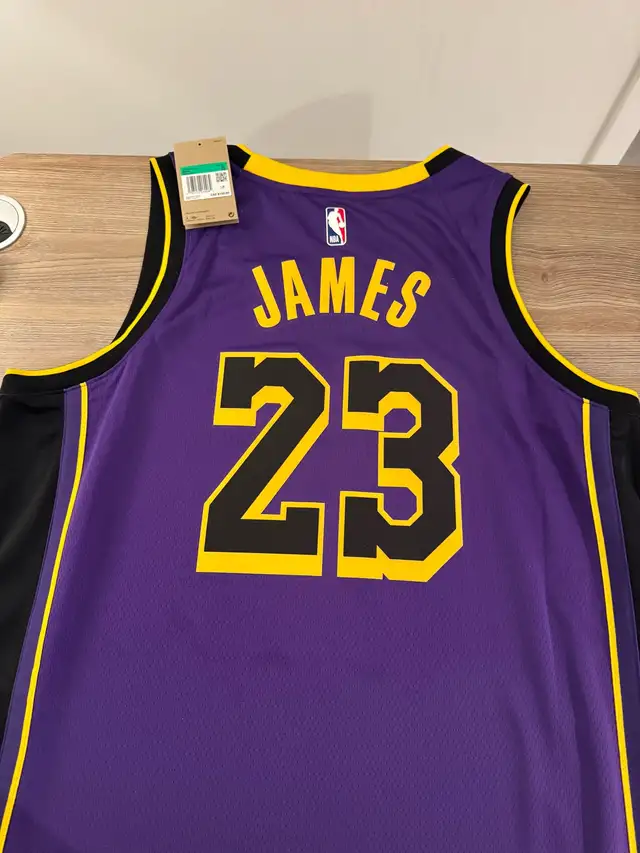 LeBron James Jersey - Photo 2