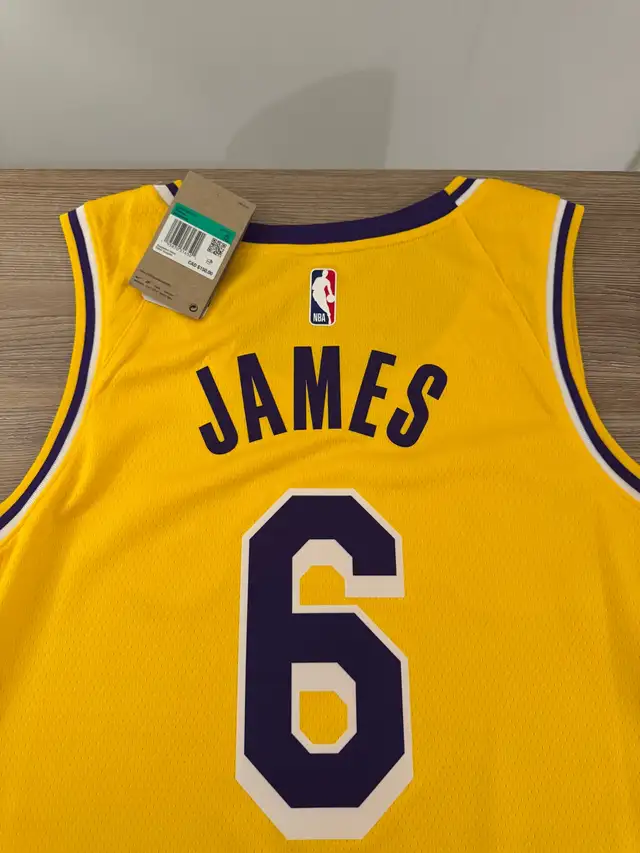 LeBron James Jersey - Photo 2