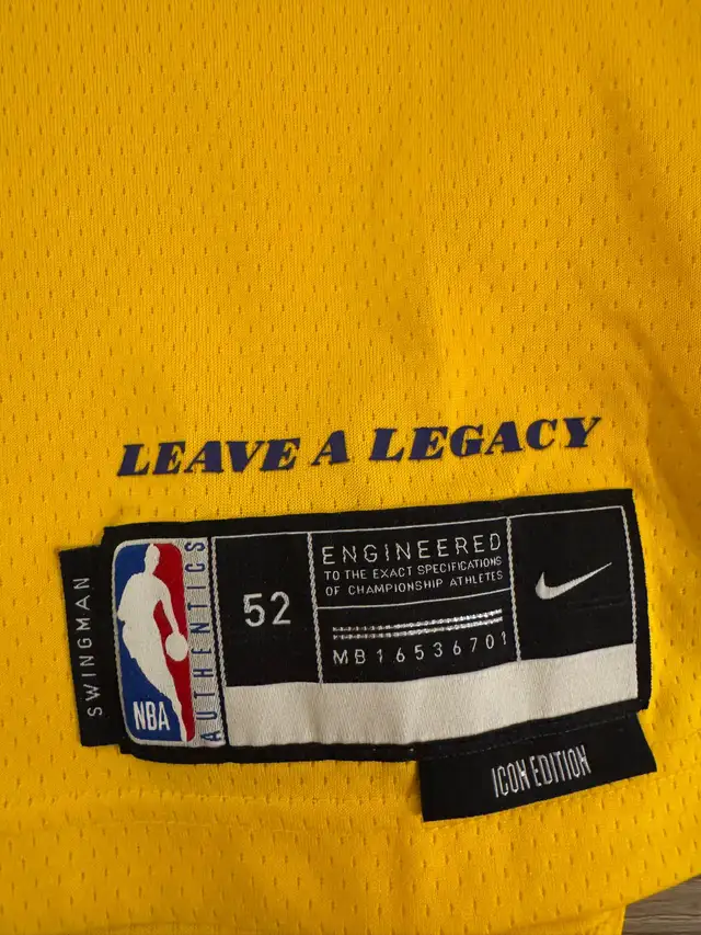 LeBron James Jersey - Photo 4