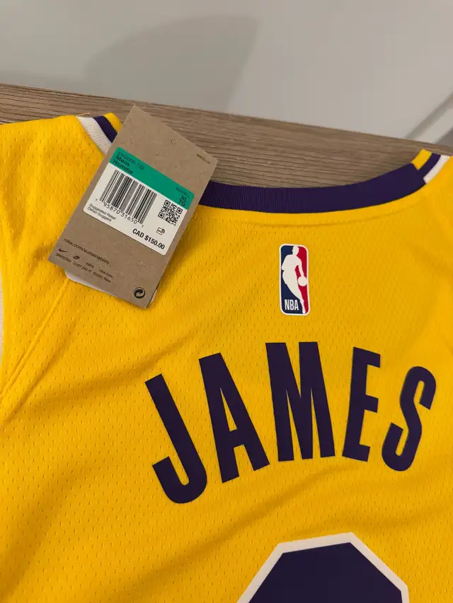 LeBron James Jersey - Photo 6