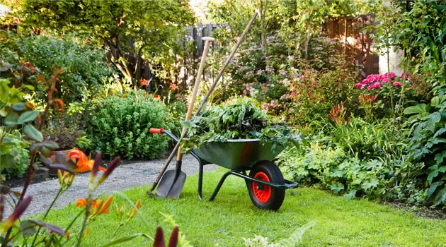 I can do everything - Photo 3