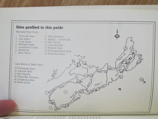 BIRDING IN ATLANTIC CANADA (NS) by Roger Burrows - 1988 SC - Photo 5