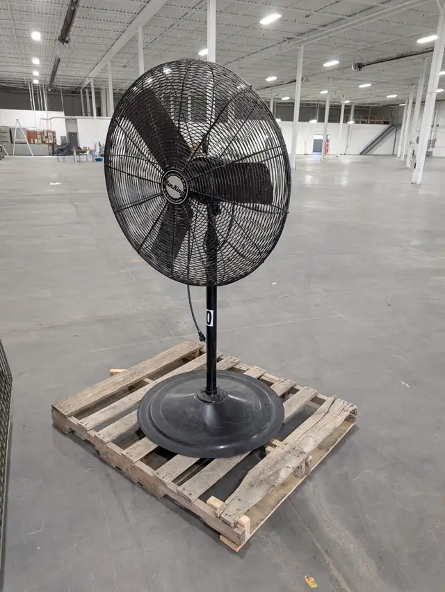 Large Fan - Photo 2