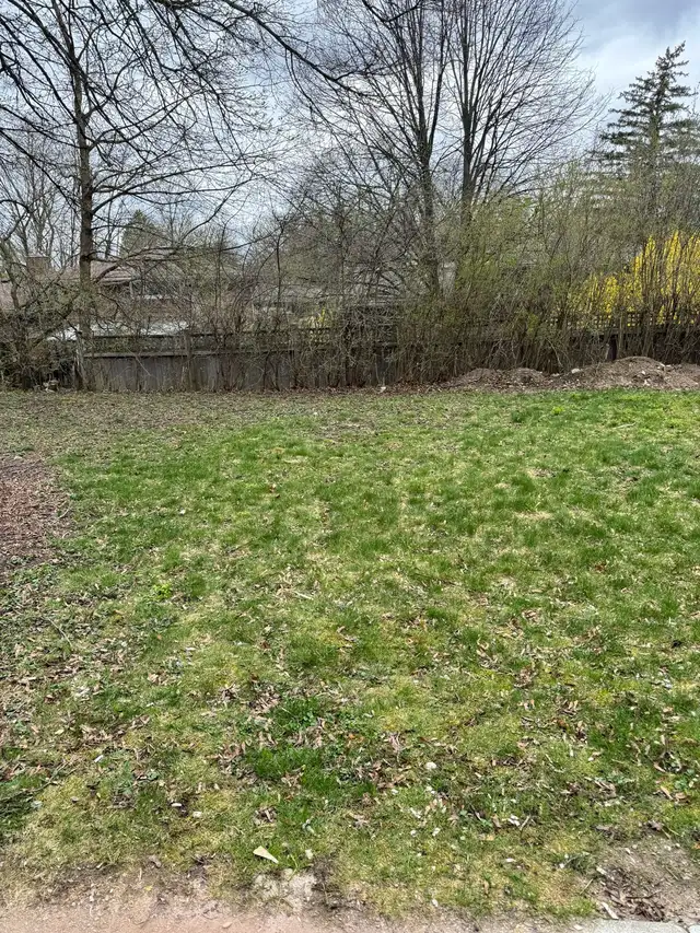4 Bedroom 2 Full Bath Walkout Basement - Photo 8