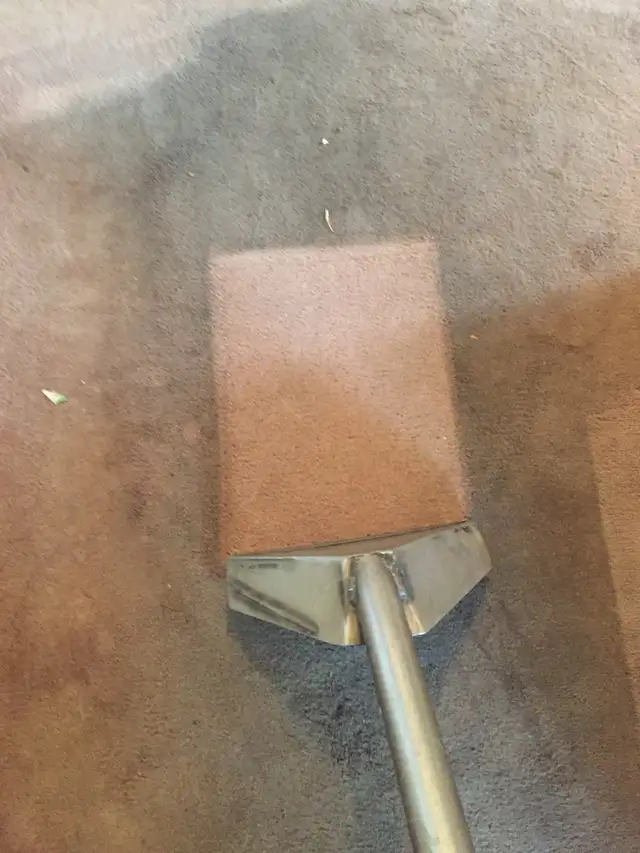 Carpet and Upholstery Cleaning - Photo 7