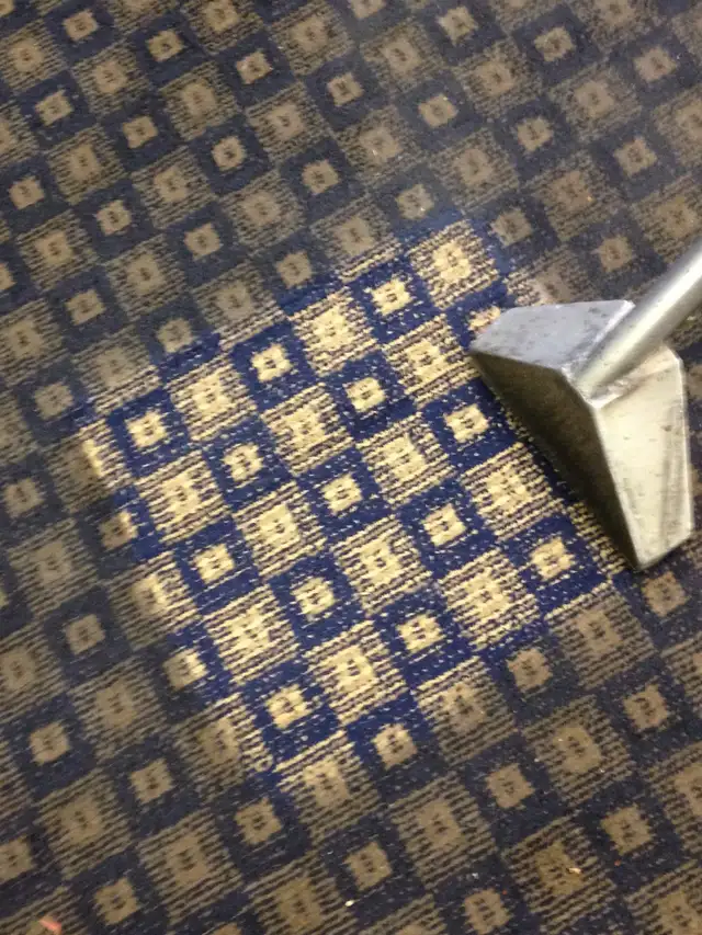 Carpet and Upholstery Cleaning - Photo 10