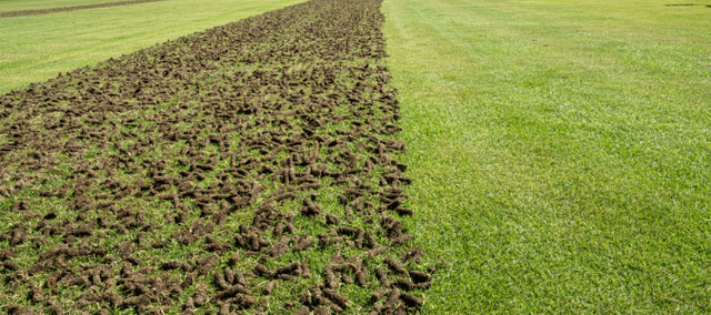Lawn  Aeration - Photo 4