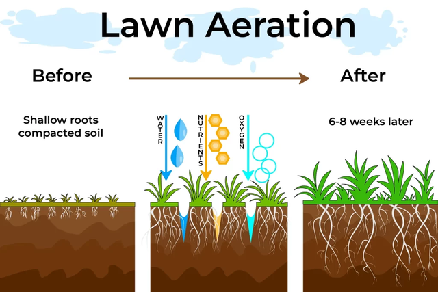 Lawn  Aeration - Photo 6