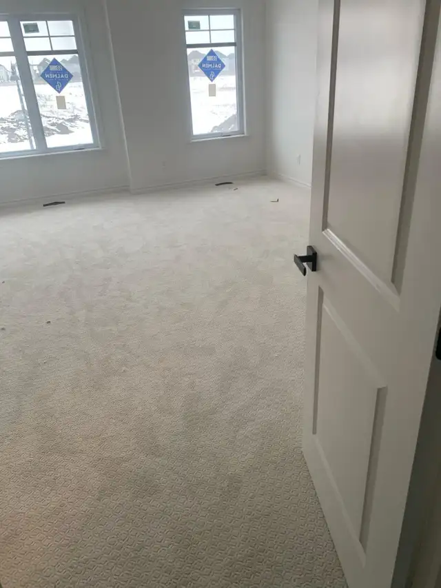 Professional Carpet - Photo 2