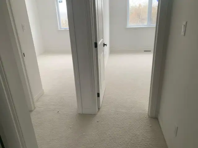 Professional Carpet - Photo 3