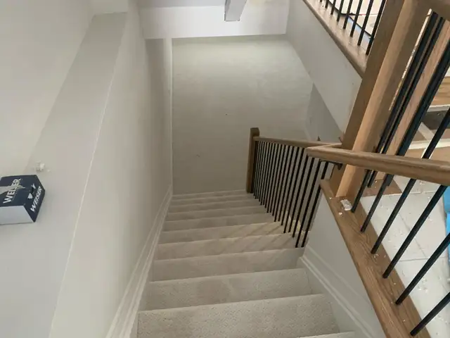 Professional Carpet - Photo 4