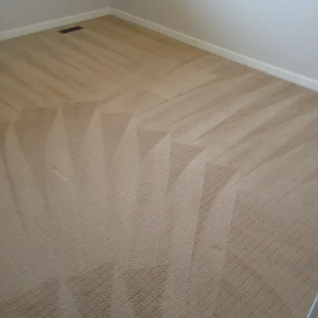 Carpet and Upholstery Cleaning - Photo 8