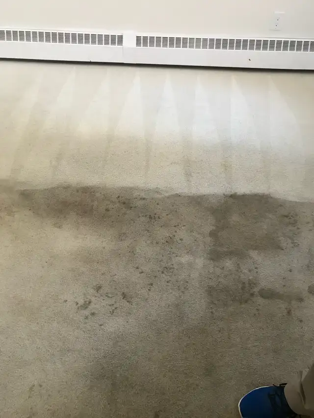 Carpet and Upholstery Cleaning - Photo 10