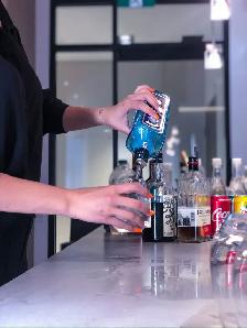 Professional Event Staff Bartender Servers Weddings Birthdays - Photo 4