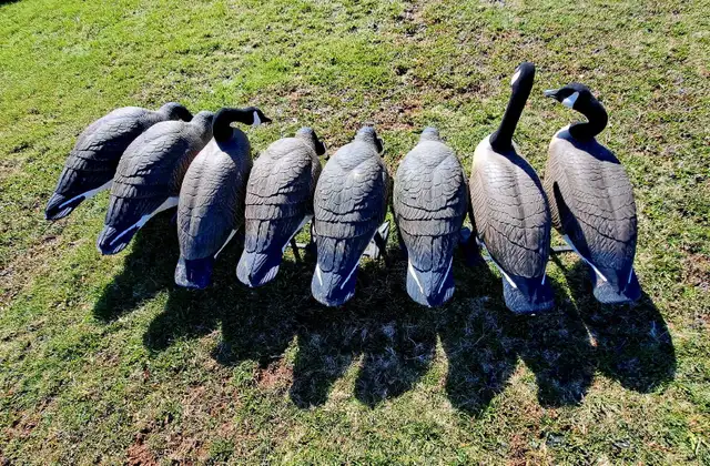 8 Bigfoot original  goose decoys. - Photo 5