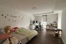 Lease Takeover | The Pearl DT Halifax | Female only