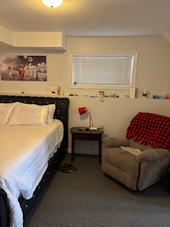 NEWMARKET 1 BR WALKOUT BASEMENT APARTMENT FOR RENT - Photo 6