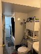 NEWMARKET 1 BR WALKOUT BASEMENT APARTMENT FOR RENT - Photo 7