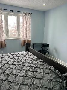 Gorgeous and Specious Room on 2nd Floor in Pickering for Rent