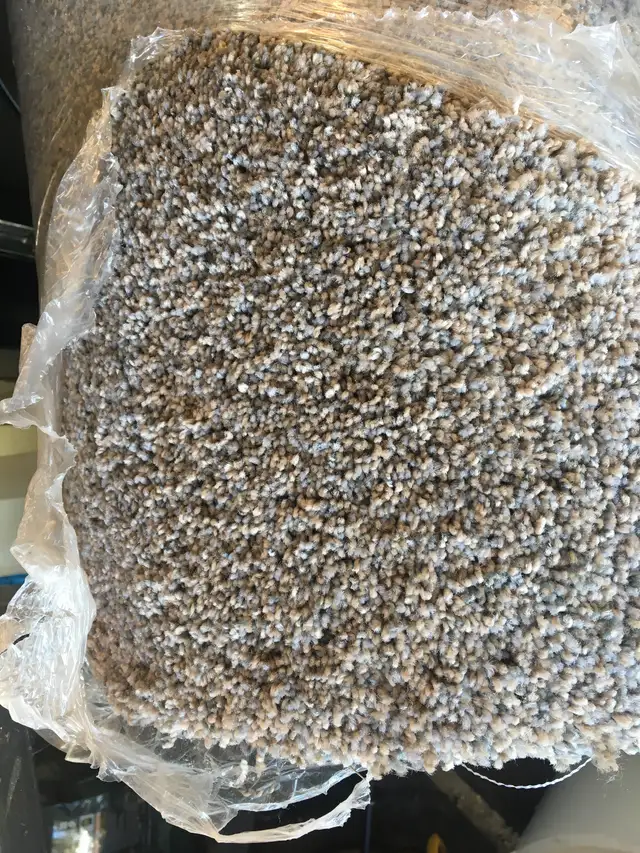 CARPET Brand New 10’2" X 12’