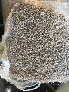 CARPET Brand New 10’2" X 12’