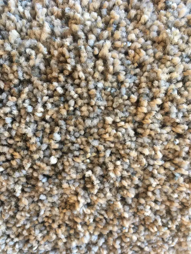 CARPET Brand New 10’2" X 12’ - Photo 2