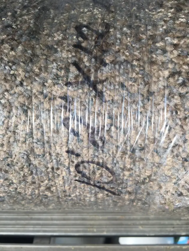 CARPET Brand New 10’2" X 12’ - Photo 3