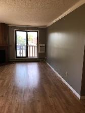 2 Bdrm, In Suite Laundry, Parking Incl, Adult Bldg, Clean, Safe - Photo 2