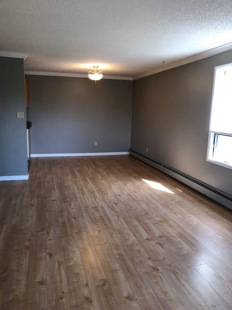 2 Bdrm, In Suite Laundry, Parking Incl, Adult Bldg, Clean, Safe - Photo 3