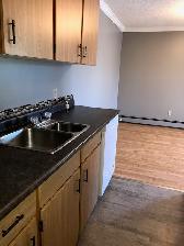 2 Bdrm, In Suite Laundry, Parking Incl, Adult Bldg, Clean, Safe - Photo 5