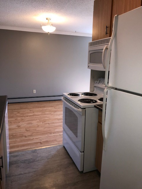 2 Bdrm, In Suite Laundry, Parking Incl, Adult Bldg, Clean, Safe - Photo 6