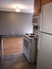 2 Bdrm, In Suite Laundry, Parking Incl, Adult Bldg, Clean, Safe - Photo 6